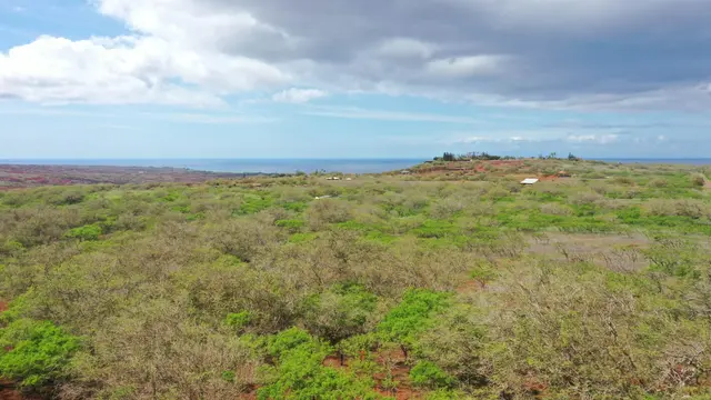 Listing Image for 0 Kalua Koi Rd 38 6 of 13