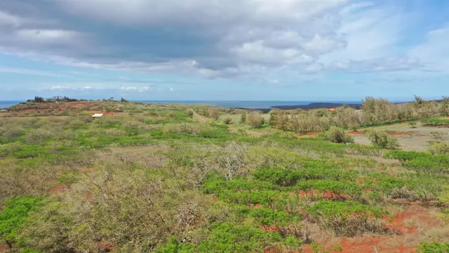 Listing Image for 0 Kalua Koi Rd 38 8 of 13