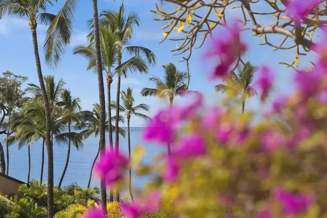Listing Image for 3300 Wailea Alanui Dr 23c 40 of 45