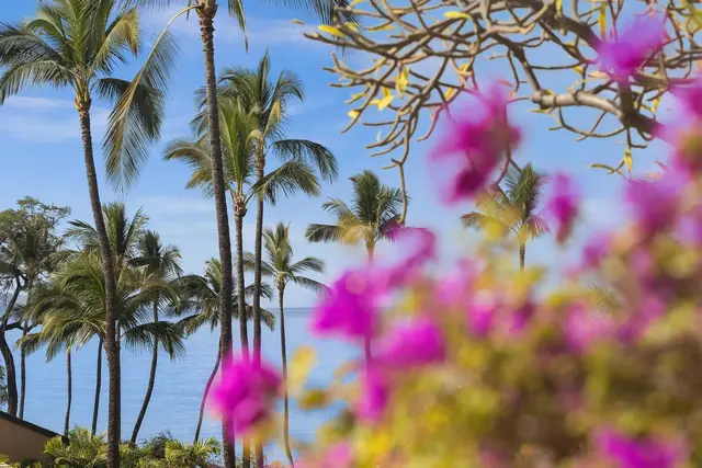 Listing Image for 3300 Wailea Alanui Dr 23c 42 of 45