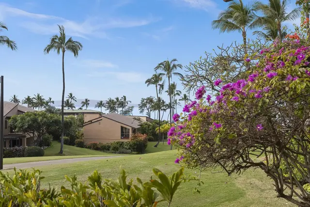 Listing Image for 3300 Wailea Alanui Dr 23c 44 of 45
