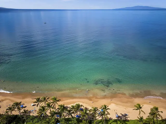 Listing Image for 3300 Wailea Alanui Dr 23c 45 of 45