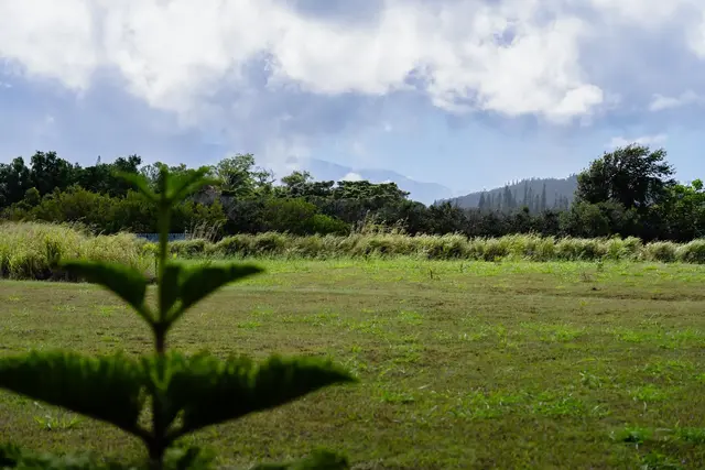 674 Kauaheahe Pl Unit A, Haiku, 400366 - 5/22