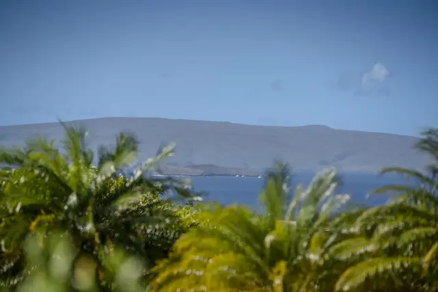 Listing Image for 10 Wailea Ekolu Pl 404 21 of 50