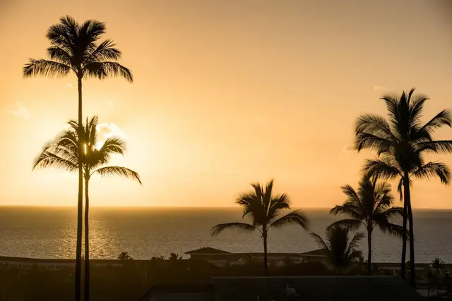 Listing Image for 10 Wailea Ekolu Pl 404 23 of 50