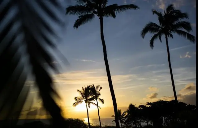 Listing Image for 2777 S Kihei Rd H104 40 of 45
