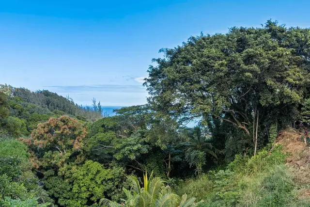 Listing Image for 655 Kulike Rd B 6 of 38