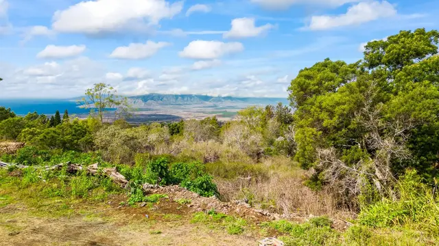 Listing Image for Malanani Dr 10 of 23