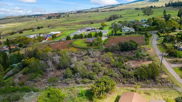 Listing Image for Malanani Dr 11 of 23
