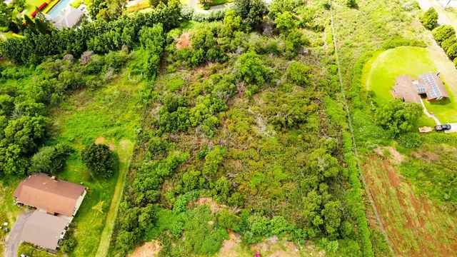Listing Image for Malanani Dr 13 of 23