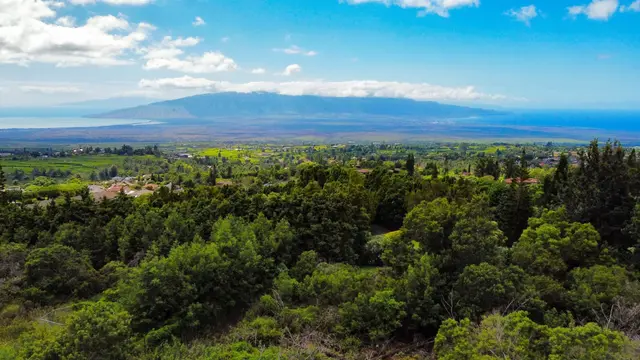 Listing Image for Malanani Dr 17 of 23