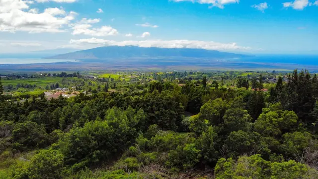 Listing Image for Malanani Dr 18 of 23
