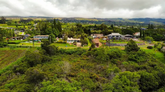 Listing Image for Malanani Dr 20 of 23