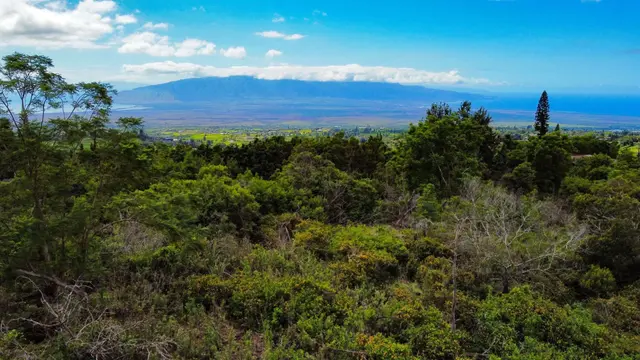 Listing Image for Malanani Dr 22 of 23