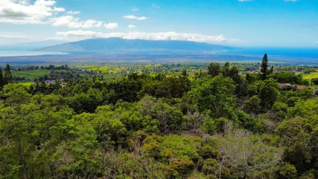 Listing Image for Malanani Dr 23 of 23