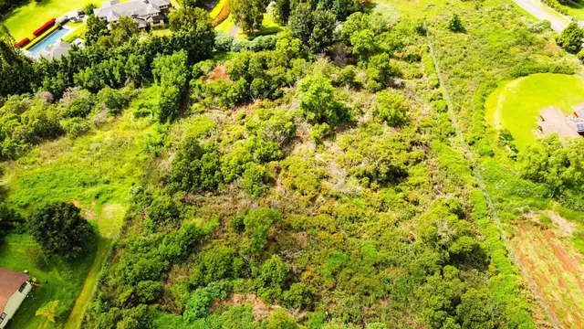 Listing Image for Malanani Dr 4 of 23