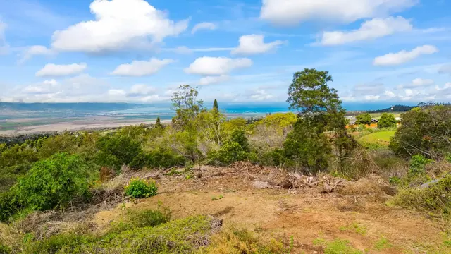 Listing Image for Malanani Dr 9 of 23