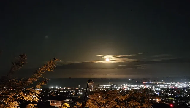 Listing Image for 15 Awela Circle 103 39 of 43