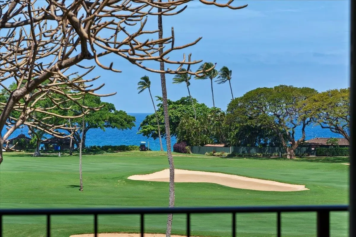 Photo of Listing #409316