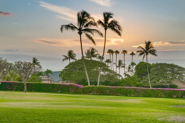 Listing Image for 50 Puu Anoano St 903 9 of 50