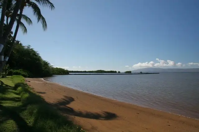 Listing Image for 1000 Kamehameha V Hwy A113 24 of 31
