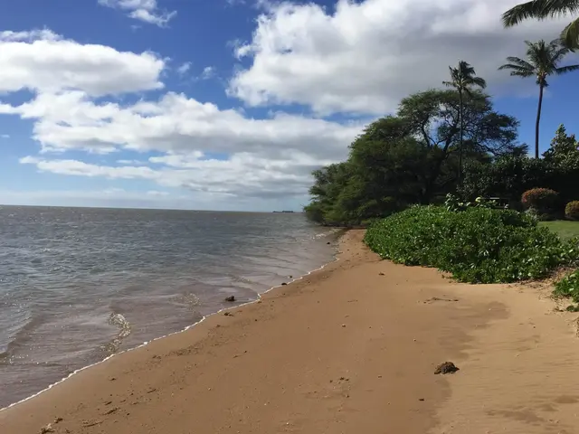 Listing Image for 1000 Kamehameha V Hwy A113 31 of 31