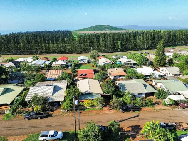 Listing Image for 1685 Alahula St 1 of 21