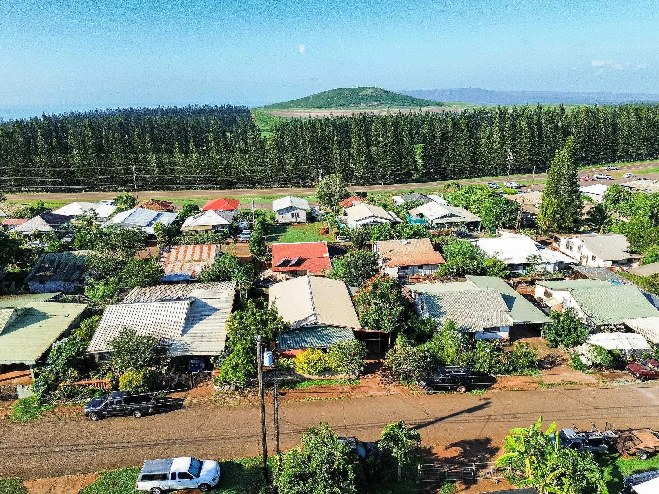 Photo of Listing #407986