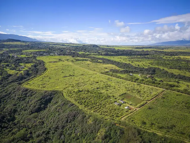 Listing Image for 0 Pauwela Lighthouse Rd 3 10 of 18