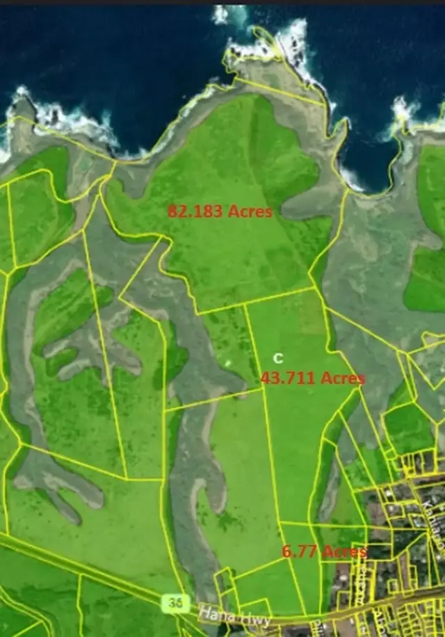 Listing Image for 0 Pauwela Lighthouse Rd 3 17 of 18