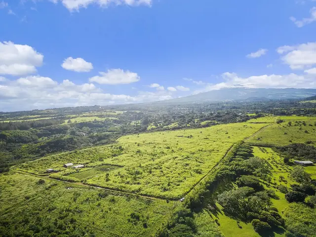 Listing Image for 0 Pauwela Lighthouse Rd 3 6 of 18