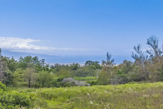 Listing Image for 21 Noholoa Pl #2 And #3 1 of 16