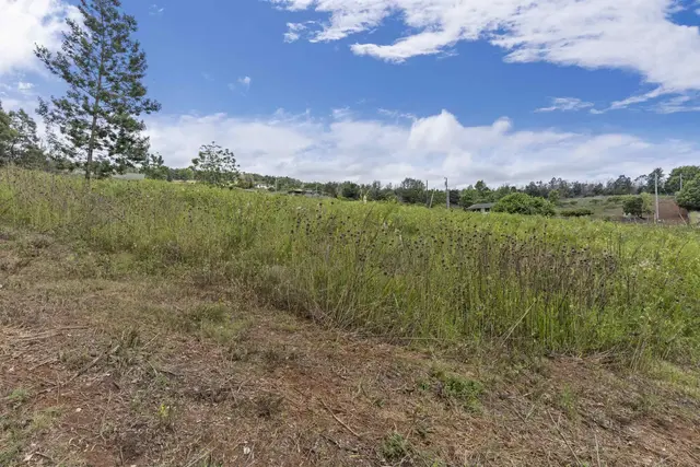 Listing Image for 21 Noholoa Pl #2 And #3 10 of 16
