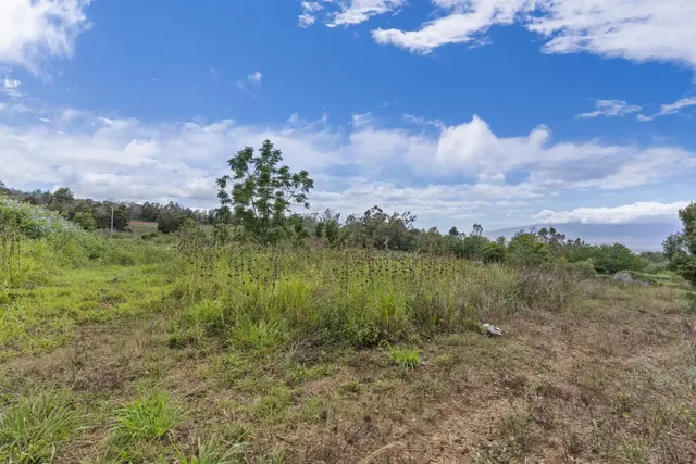 Listing Image for 21 Noholoa Pl #2 And #3 13 of 16