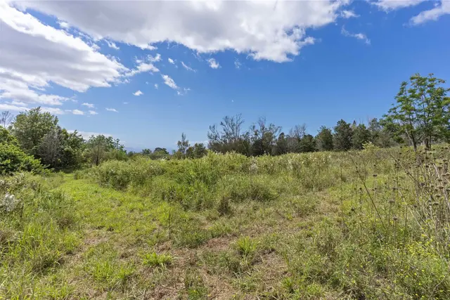 Listing Image for 21 Noholoa Pl #2 And #3 15 of 16