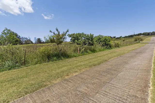 Listing Image for 21 Noholoa Pl #2 And #3 9 of 16