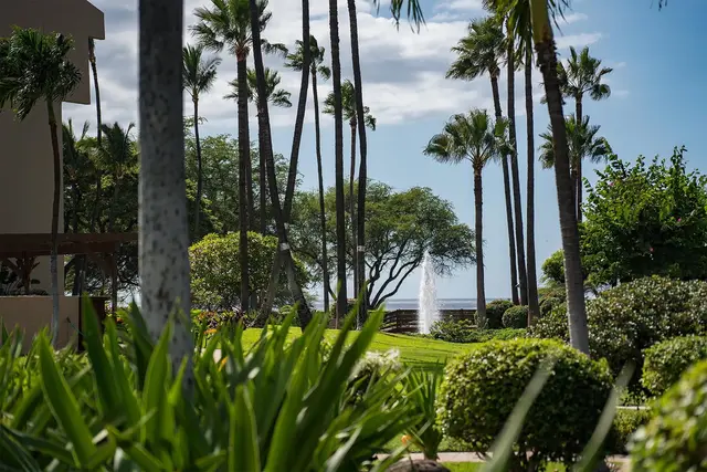 Listing Image for 2695 S Kihei Rd 3-202 39 of 44