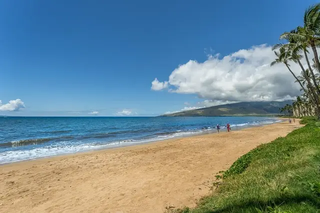 Listing Image for 12 S Kihei Rd F2 46 of 46