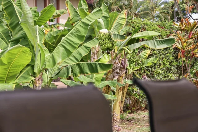 Listing Image for 153 Pualei Dr 153-6 7 of 37