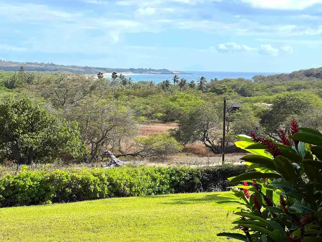 Listing Image for 50 Kepuhi Pl 115 22 of 22