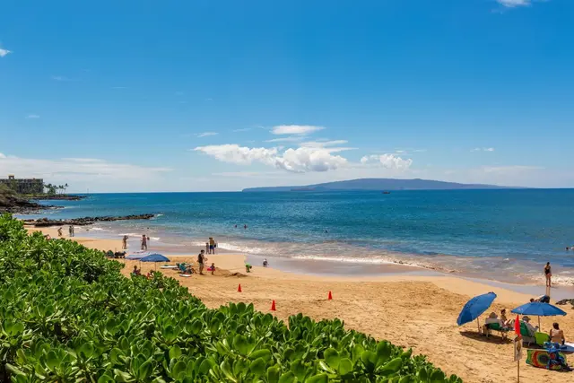 Listing Image for 2653 S Kihei Rd 313 45 of 50