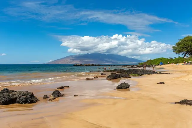 Listing Image for 2653 S Kihei Rd 313 50 of 50