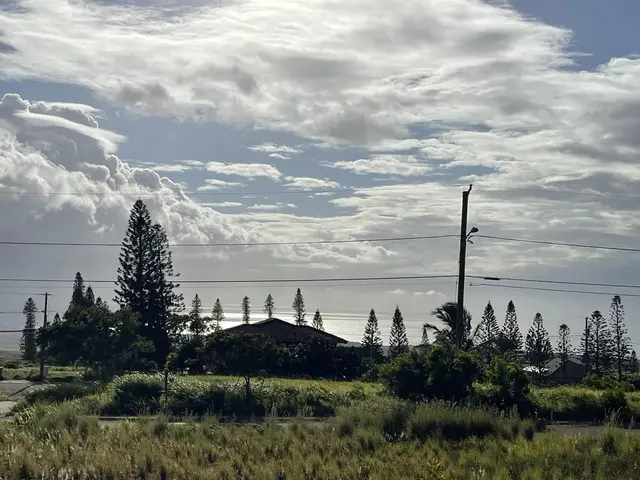 Listing Image for Puunana St D70 1 of 10