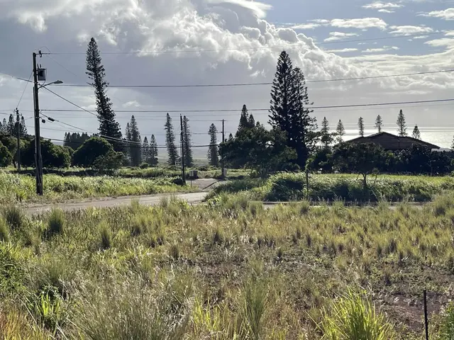 Listing Image for Puunana St D70 8 of 10