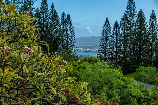Listing Image for 30 Maunalei Pl 73 2 of 31