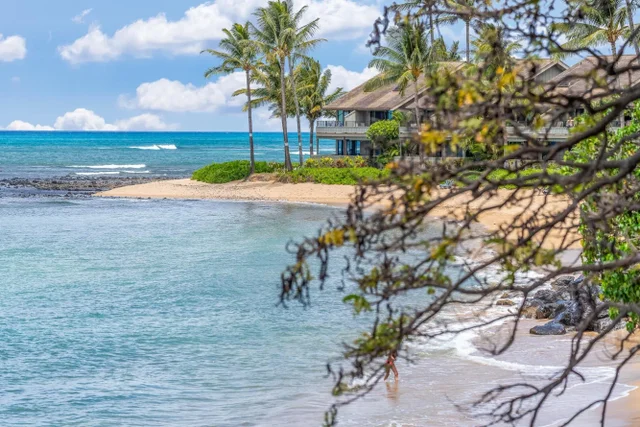 Listing Image for 4471 Lower Honoapiilani Rd 221 9 of 35