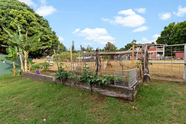 Listing Image for 686 Onipaa Pl 36 of 36