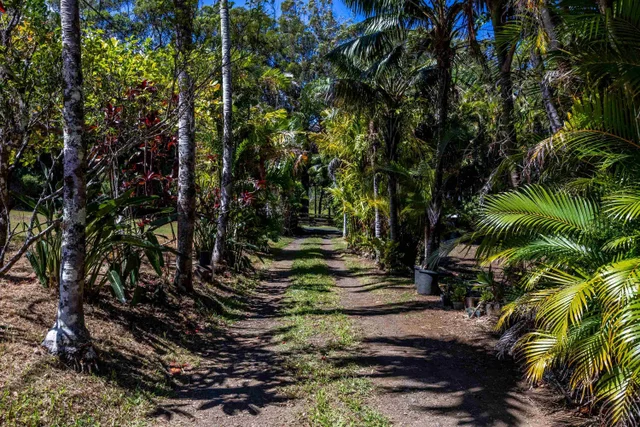 Listing Image for 81 Kapuai Rd 4 of 50