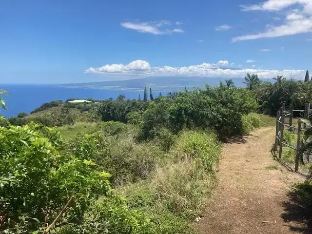 Listing Image for 425 Kaukini Loop 11 of 28