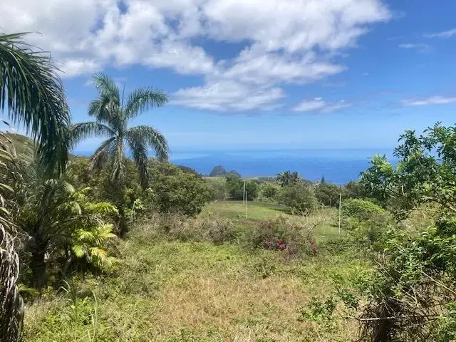 Listing Image for 425 Kaukini Loop 28 of 28